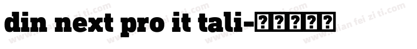 din next pro it tali字体转换